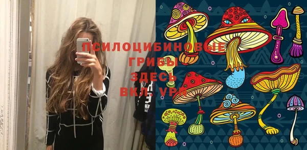 ешки Абинск