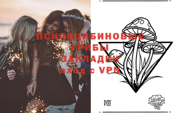 apvp Алзамай